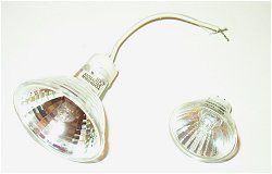 Halojen Lamba